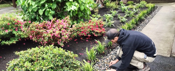 Landscape Design | North Vancouver landscaping company