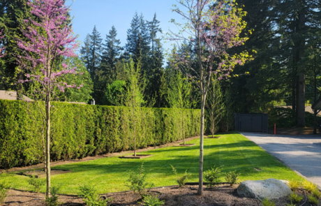 North Vancouver Garden Maintenance | North Vancouver Landscaping | North Vancouver Garden Design