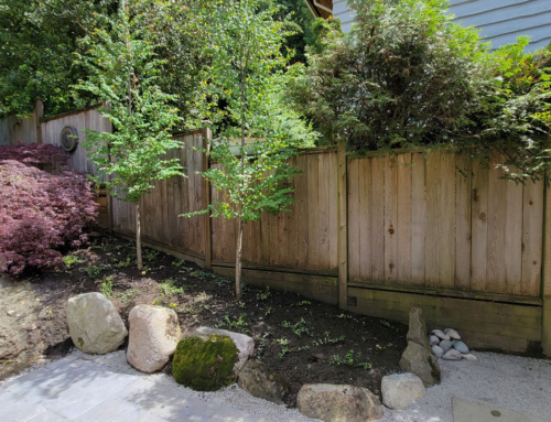 From Forest to Backyard: Bringing North Vancouver’s Natural Beauty into Your Garden