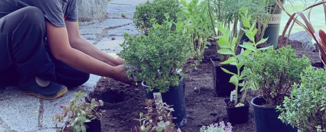 Garden Maintenance in Vancouver | Landscaping Design